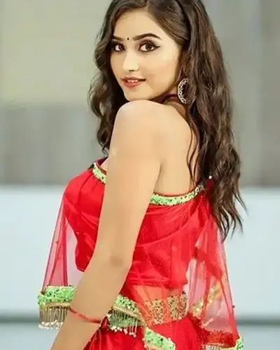 Escort In Narnaul